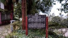 南山植物园-重庆-doris圈圈