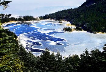 西昌+螺髻山一日游【往返索道+观光车+市区往返接送】【春看杜鹃夏看雨，秋观红叶冬赏雪。】