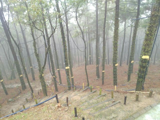 다펑산 셴포구 관광지구