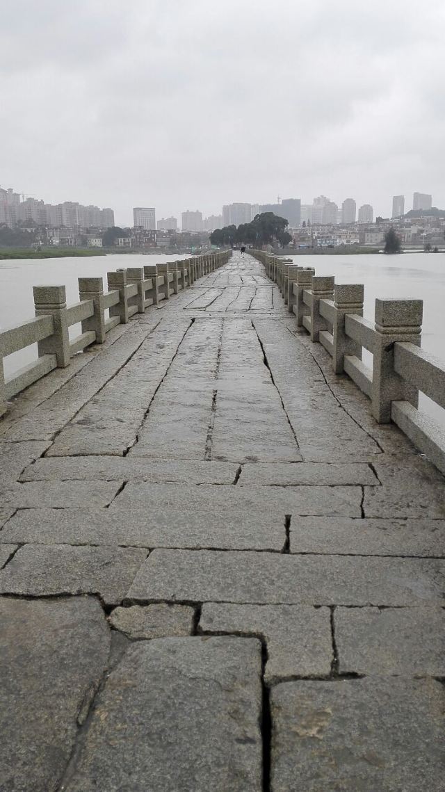 낙양교