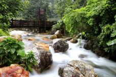 雁南飞茶田景区-桥溪古韵-梅州-懟懟