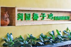 润园椰子鸡·热带雨林主题餐厅(汇金广场C座店)-广州-doris圈圈