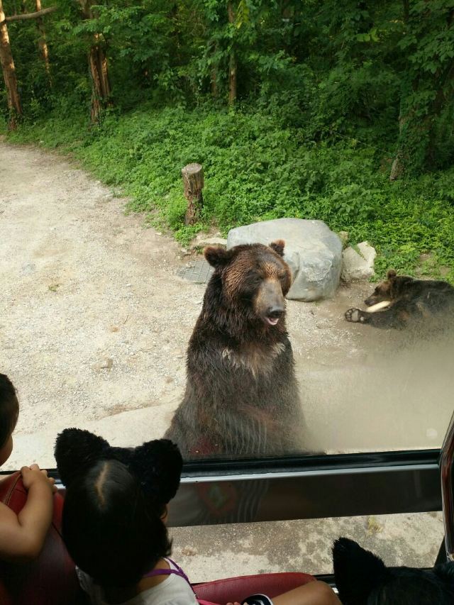 에버랜드