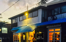 Blue Bamboo