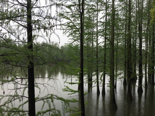 尚湖風景區