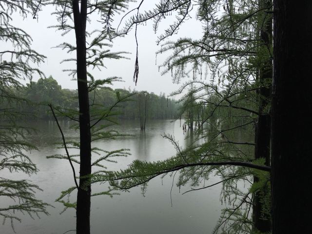 尚湖風景區