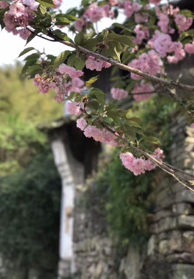 팡자허터우춘