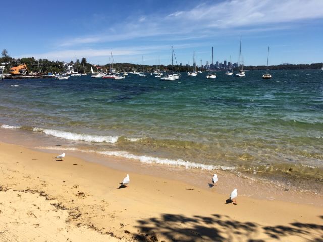 South Head and Watsons Bay Walk