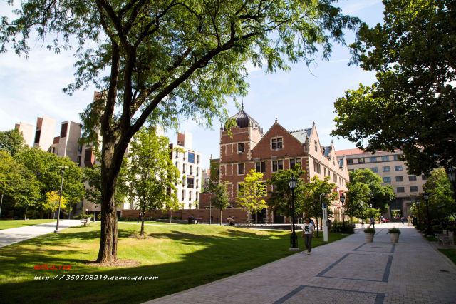 The University of Chicago
