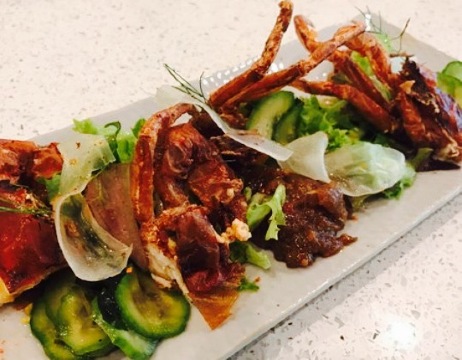 Japanese Grandma’s Cafe