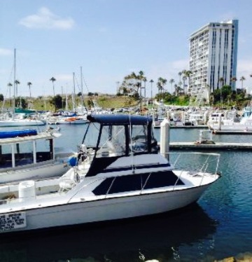 Dominic's Italian Restaurant餐厅图片