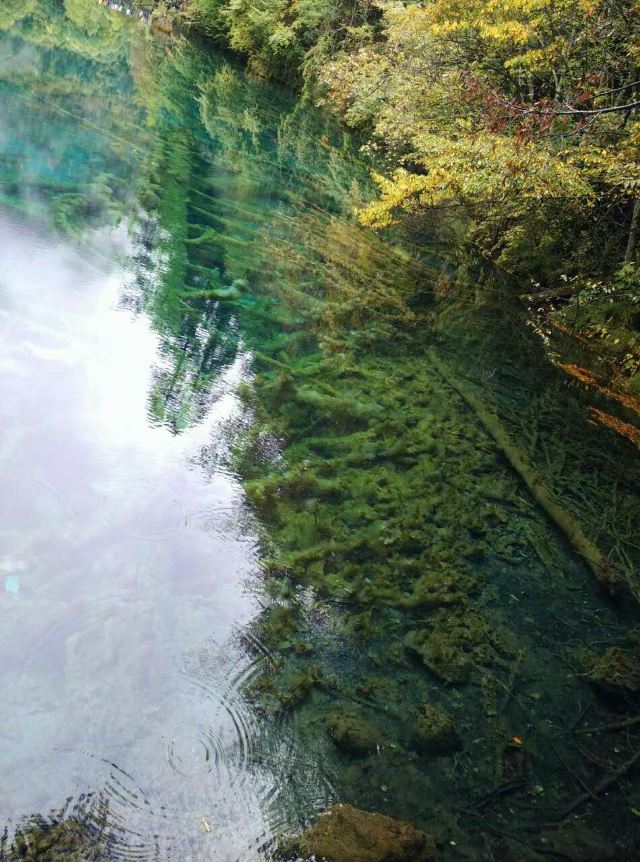 長海