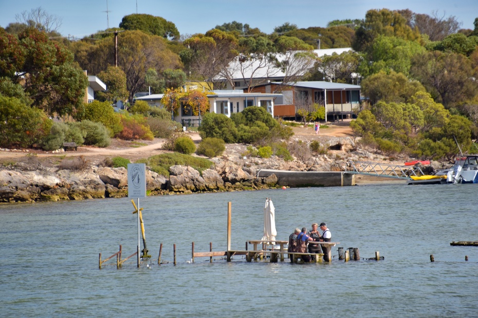 柯芬湾（Coffin Bay） |坐在海里吃澳洲顶级生蚝  澳大利亚的海鲜是出了名的，而南澳大利艾尔