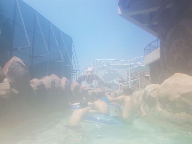 Adventure Cove Waterpark
