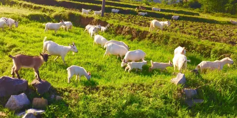 永州都龐嶺自然保護區