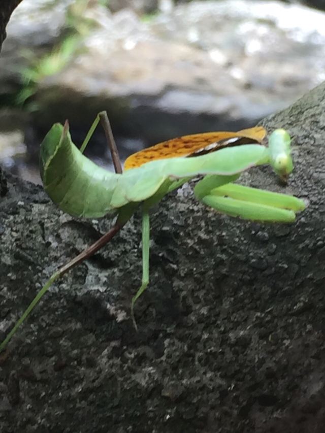九咆界風景區