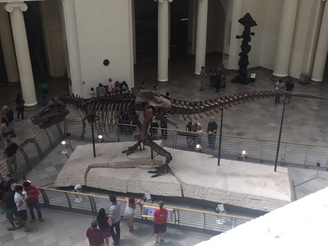 The Field Museum