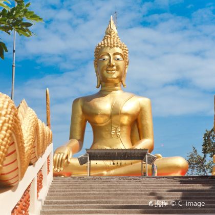 芭堤雅+格兰岛+芭堤雅大象村5日4晚拼小团