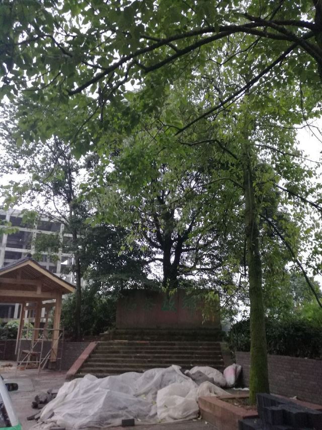 몽정산