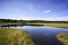 七星湖湿地公园-围场-YoYo_2Q6Q1U3A