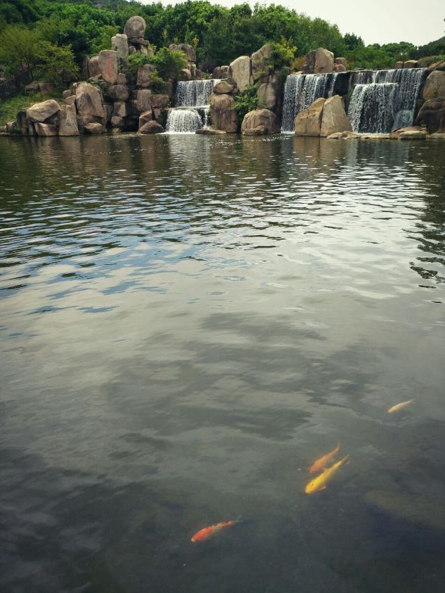 Baimajian Longchi Scenic Area