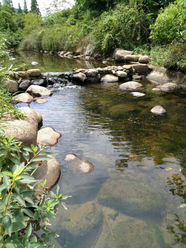Baimajian Longchi Scenic Area
