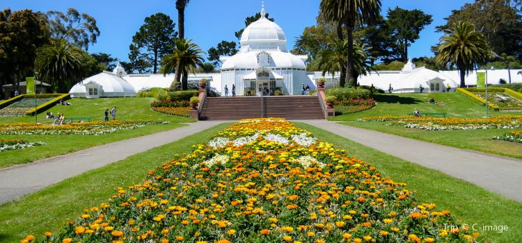 San Francisco Botanical Garden Travel Guidebook Must Visit