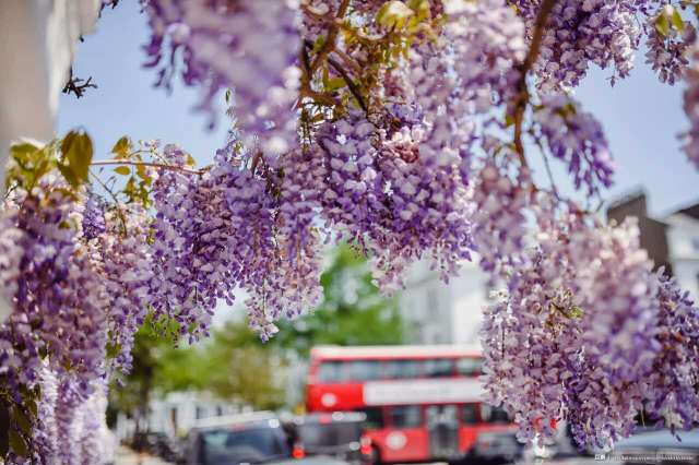 麦当劳(吉林大学店)