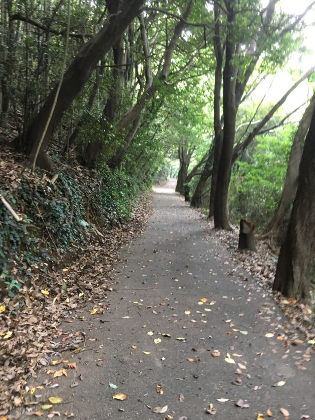 노코노시마