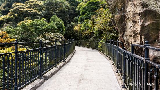 Old Peak Road