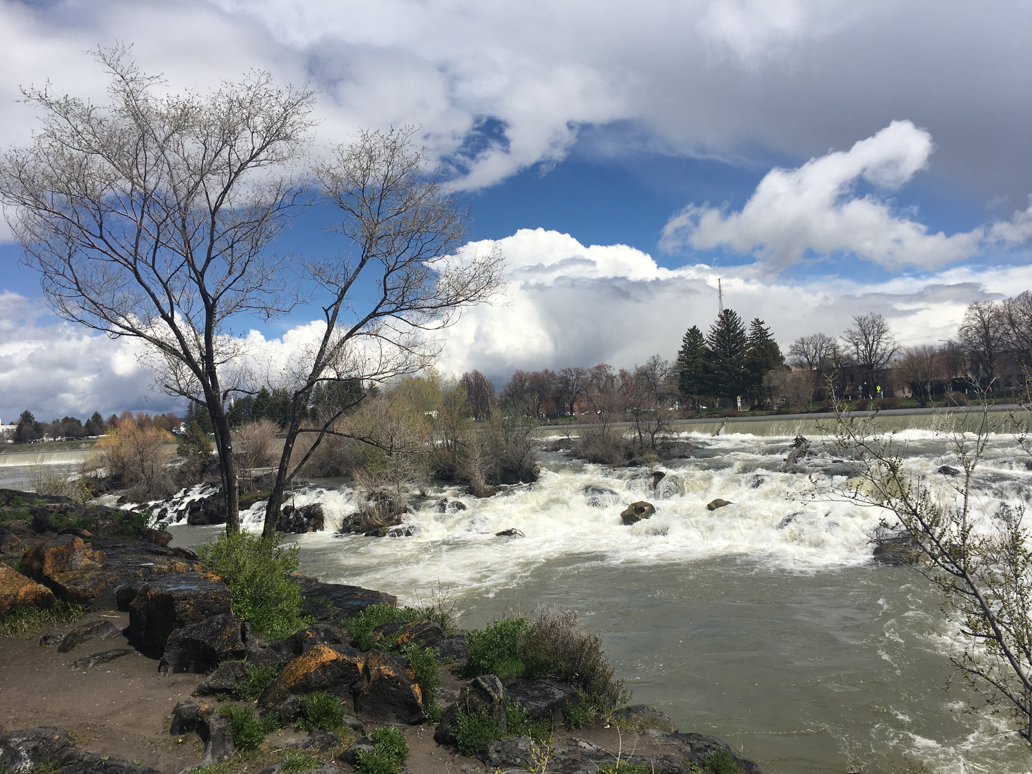 去看看爱达荷州的瀑布城（Falls）。这是一个瀑布群，颇为壮观。没想到才相隔几十公里，景观差别如此之