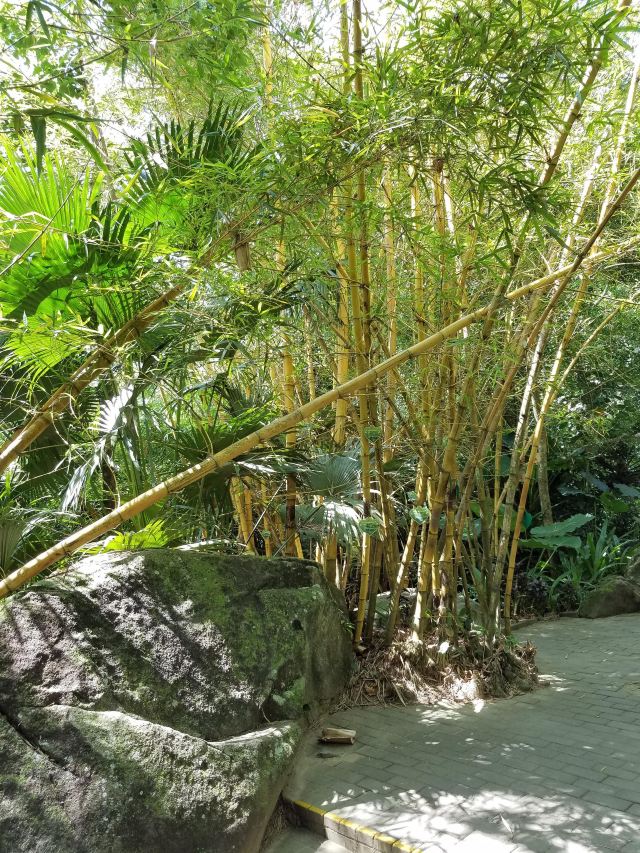 Yanoda Rainforest Cultural Tourism Zone