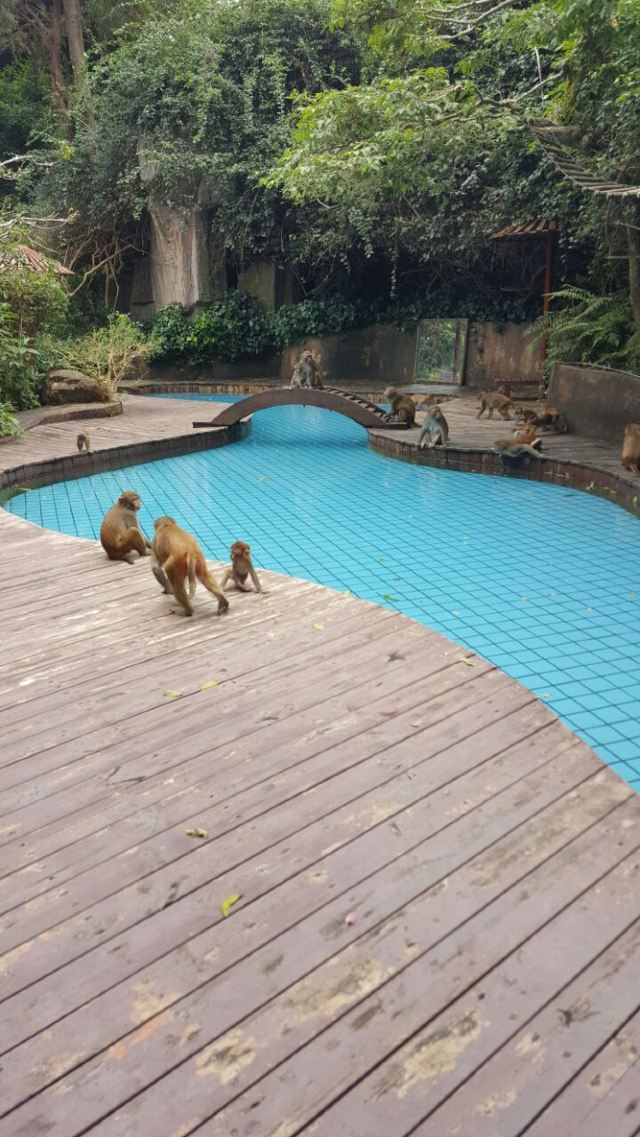 Nanwan Monkey Island