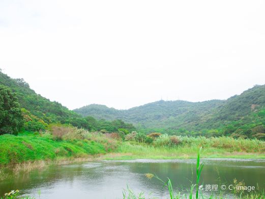 黄山鲁森林公园