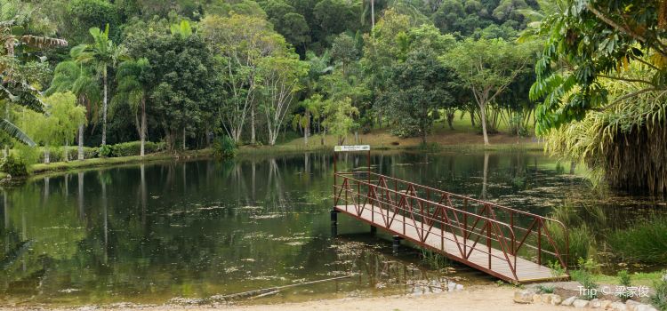 Rainforestation Nature Park Travel Guidebook Must Visit