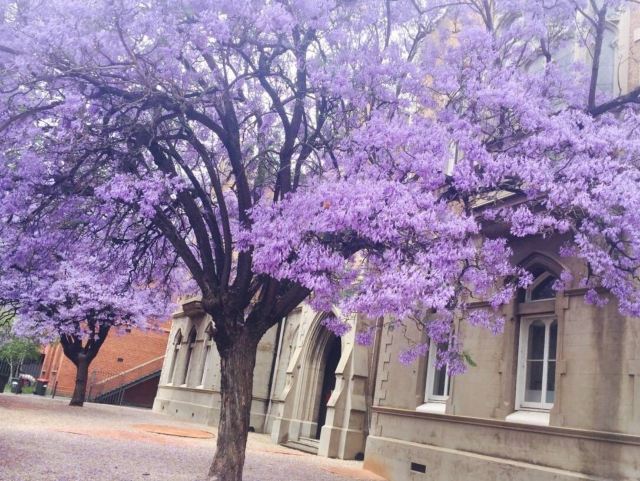 Adelaide