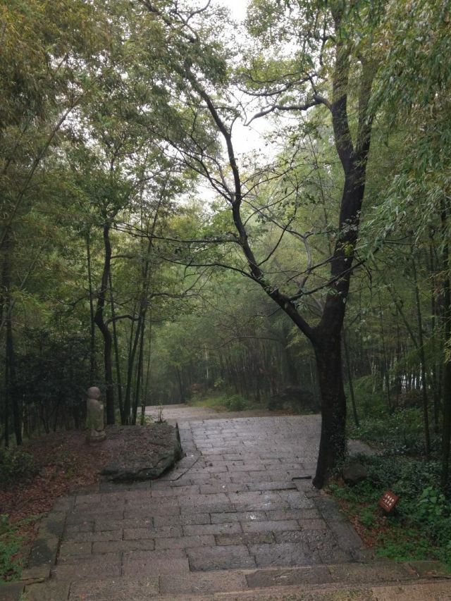 다펑산 셴포구 관광지구