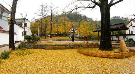 清泉自然科學探索園