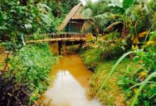 Coffee Plantation美食图片