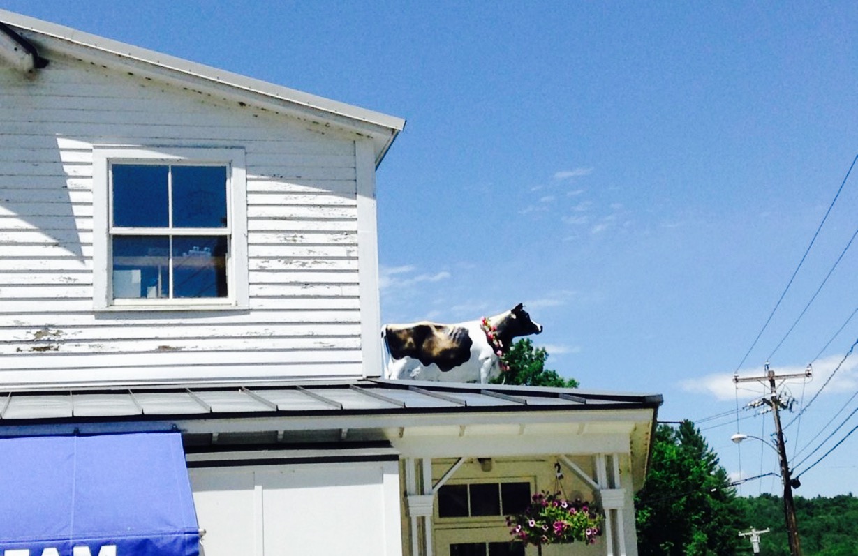 The Old Creamery Cooperative