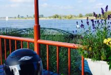 Restaurant Rheinfähre美食图片