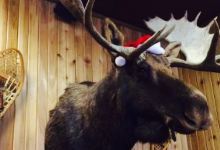 Moose Creek BBQ美食图片