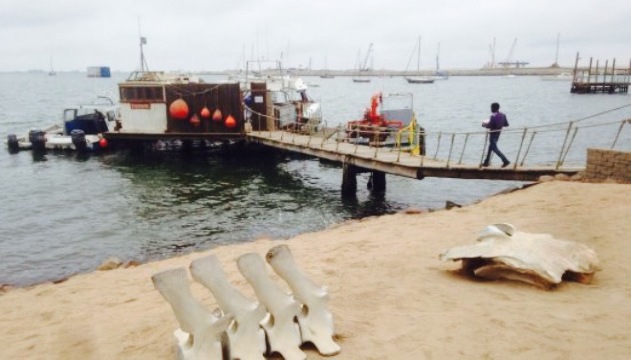 Anchors @ the Jetty餐厅图片