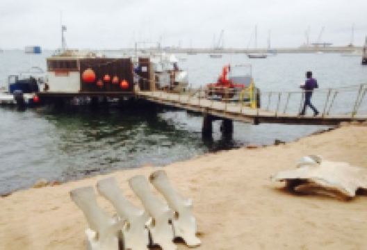 Anchors @ the Jetty美食图片