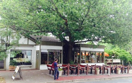The German Cake Shop
