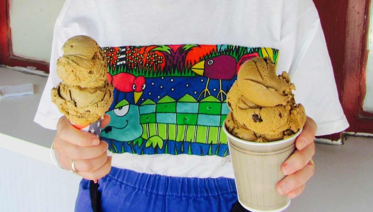 Hodgie's Ice Cream