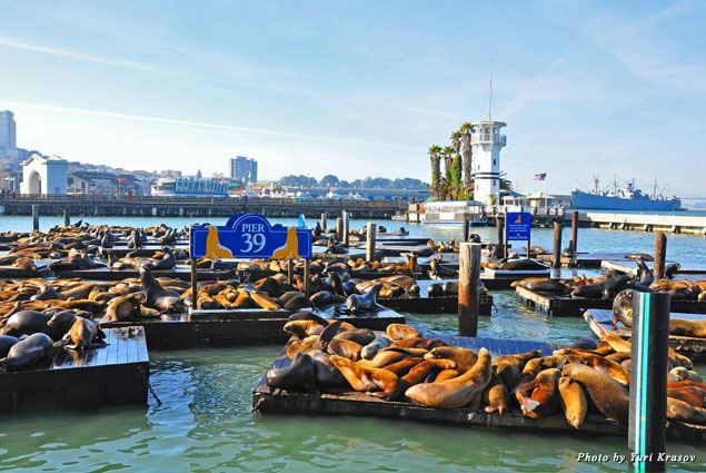 Crab House At Pier 39