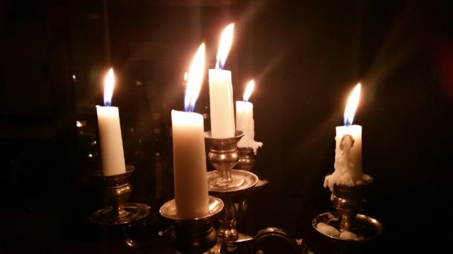 Collegium餐厅图片