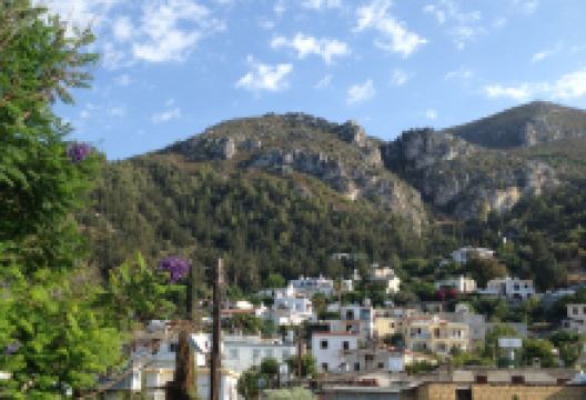 Abbey Bell Tower Restaurant美食图片