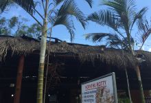 Adam's Breeze美食图片